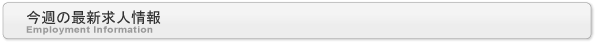 今週の最新求人情報